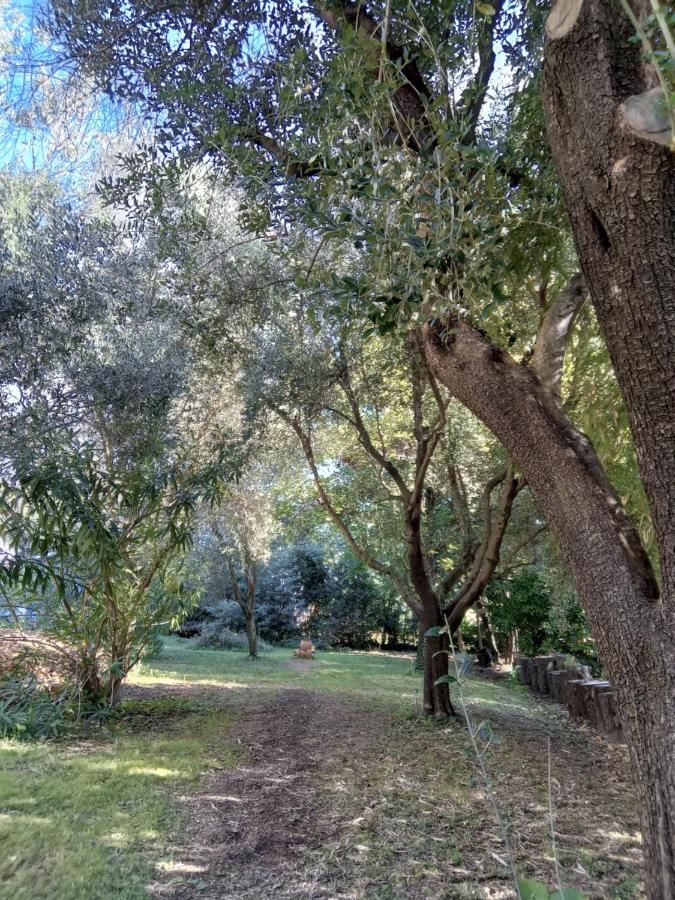 2 Pieces "Le Brin De Soleil" Gites Appart 'Hotel L'Echappee Belle D'Aubenas Logement 1 Sur 3 Εξωτερικό φωτογραφία
